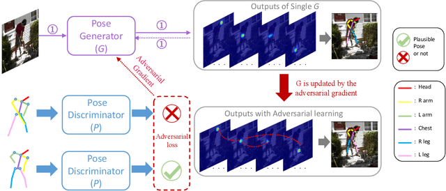 Figure 2 for Adversarial Learning of Structure-Aware Fully Convolutional Networks for Landmark Localization