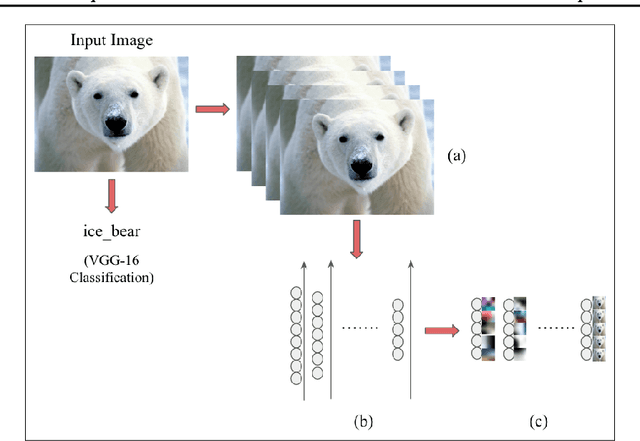 Figure 1 for Towards Visual Explanations for Convolutional Neural Networks via Input Resampling