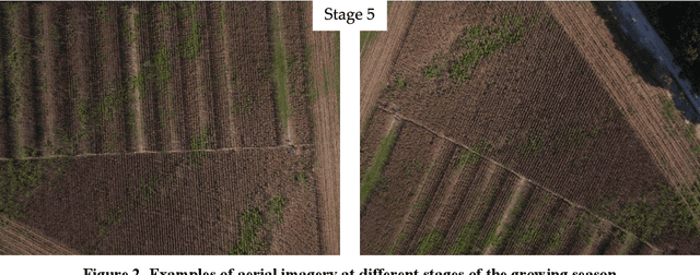 Figure 3 for Comparison of object detection methods for crop damage assessment using deep learning