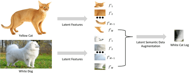 Figure 1 for Long-tailed Recognition by Learning from Latent Categories