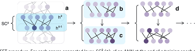 Figure 1 for Scalable Training of Artificial Neural Networks with Adaptive Sparse Connectivity inspired by Network Science