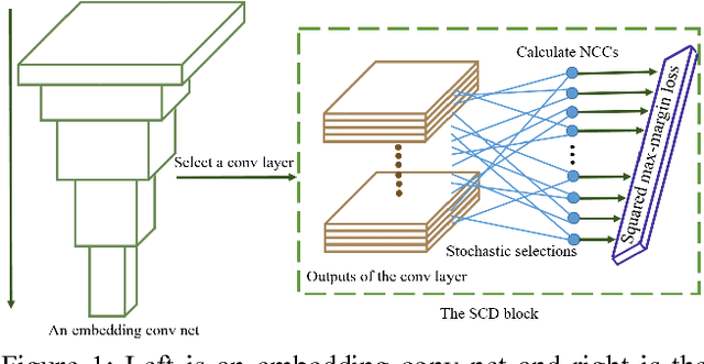 Figure 1 for Stochastic Channel Decorrelation Network and Its Application to Visual Tracking