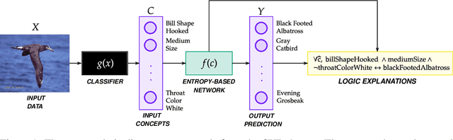 Figure 1 for Entropy-based Logic Explanations of Neural Networks