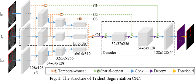 Figure 1 for Trident Segmentation CNN: A Spatiotemporal Transformation CNN for Punctate White Matter Lesions Segmentation in Preterm Neonates