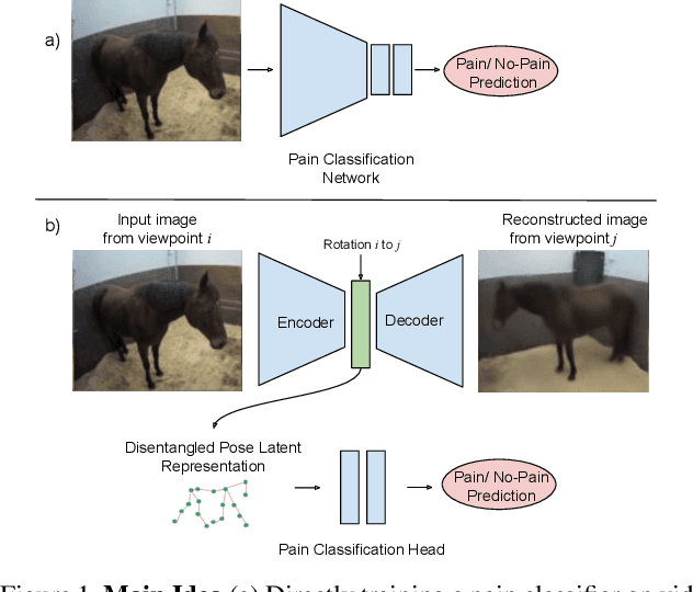 Figure 1 for Equine Pain Behavior Classification via Self-Supervised Disentangled Pose Representation