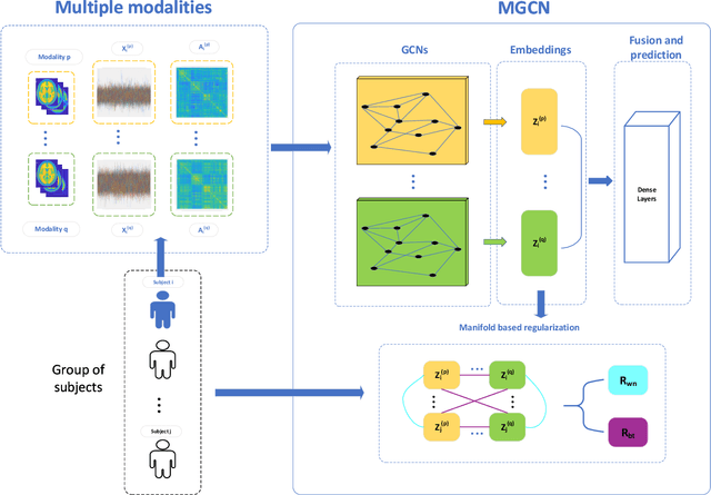 Figure 1 for Ensemble manifold based regularized multi-modal graph convolutional network for cognitive ability prediction