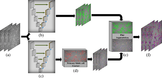 Figure 1 for Joint Multi-frame Detection and Segmentation for Multi-cell Tracking
