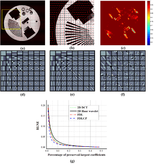 Figure 1 for Fast Multi-class Dictionaries Learning with Geometrical Directions in MRI Reconstruction