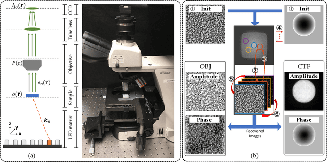 Figure 1 for PgNN: Physics-guided Neural Network for Fourier Ptychographic Microscopy