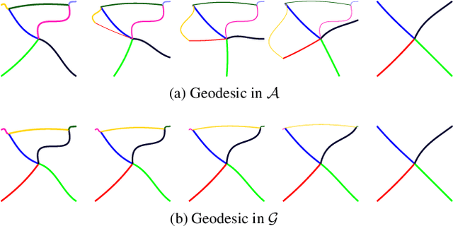 Figure 4 for Representations, Metrics and Statistics For Shape Analysis of Elastic Graphs