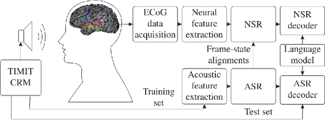 Figure 1 for On Neural Phone Recognition of Mixed-Source ECoG Signals