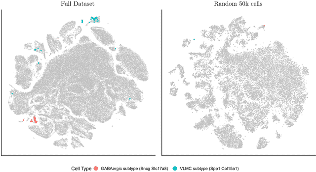Figure 1 for Efficient Algorithms for t-distributed Stochastic Neighborhood Embedding