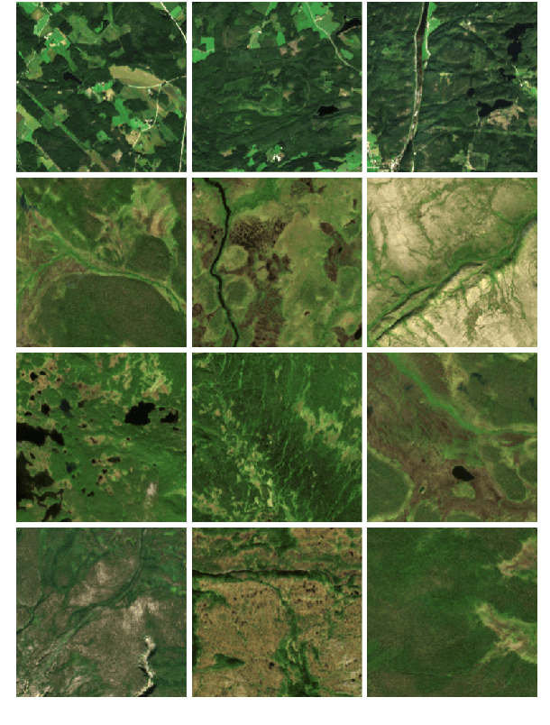 Figure 3 for Exploring Wilderness Using Explainable Machine Learning in Satellite Imagery