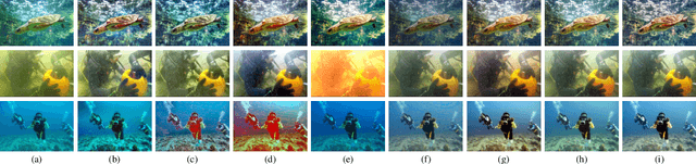 Figure 3 for Underwater Image Enhancement via Learning Water Type Desensitized Representations