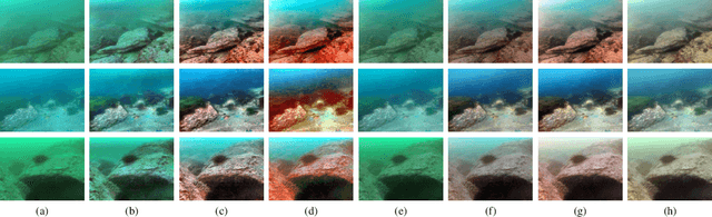 Figure 4 for Underwater Image Enhancement via Learning Water Type Desensitized Representations