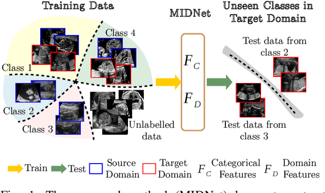 Figure 1 for Mutual Information-based Disentangled Neural Networks for Classifying Unseen Categories in Different Domains: Application to Fetal Ultrasound Imaging