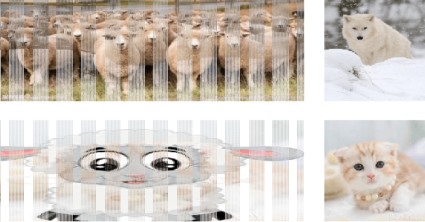Figure 1 for Wolf in Sheep's Clothing - The Downscaling Attack Against Deep Learning Applications