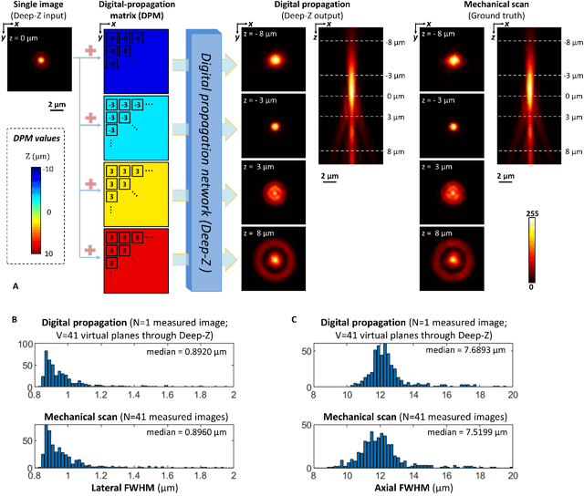 Figure 1 for Three-dimensional propagation and time-reversal of fluorescence images