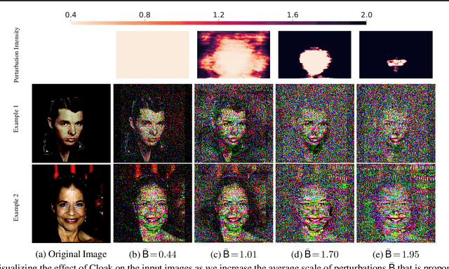 Figure 1 for A Principled Approach to Learning Stochastic Representations for Privacy in Deep Neural Inference