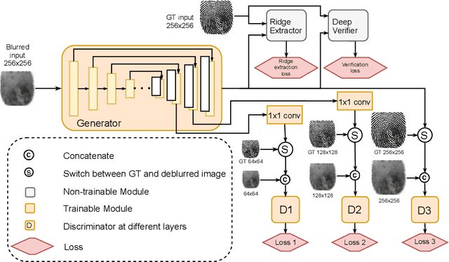 Figure 3 for FDeblur-GAN: Fingerprint Deblurring using Generative Adversarial Network