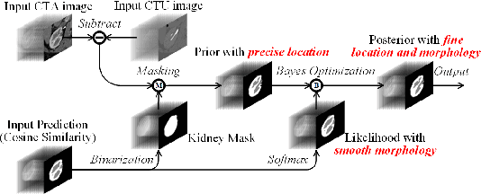 Figure 4 for CPNet: Cycle Prototype Network for Weakly-supervised 3D Renal Compartments Segmentation on CT Images
