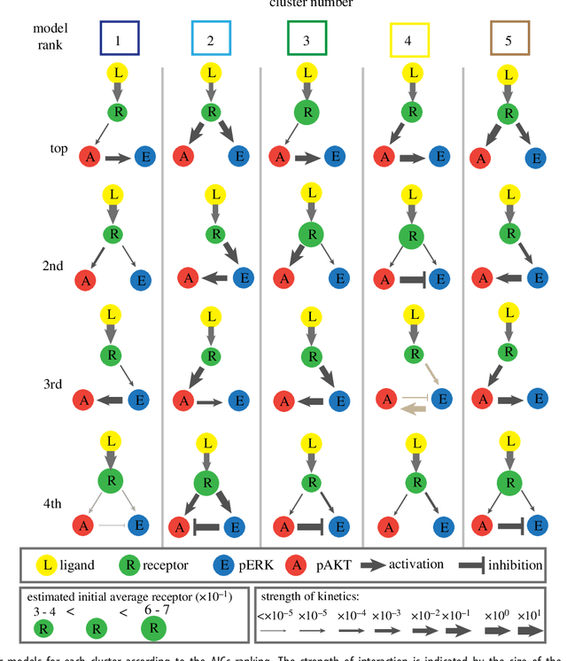 Figure 4 for Tensor clustering with algebraic constraints gives interpretable groups of crosstalk mechanisms in breast cancer
