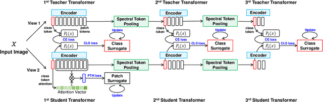 Figure 1 for Attribute Surrogates Learning and Spectral Tokens Pooling in Transformers for Few-shot Learning