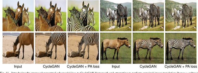 Figure 3 for Perceptual Adversarial Networks for Image-to-Image Transformation