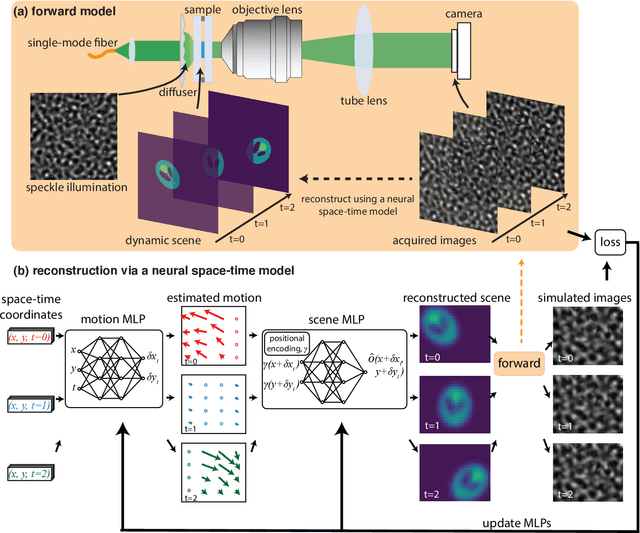 Figure 1 for Dynamic Structured Illumination Microscopy with a Neural Space-time Model