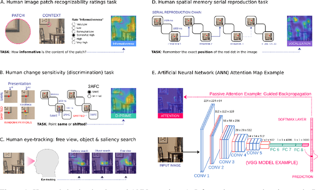 Figure 1 for Passive attention in artificial neural networks predicts human visual selectivity