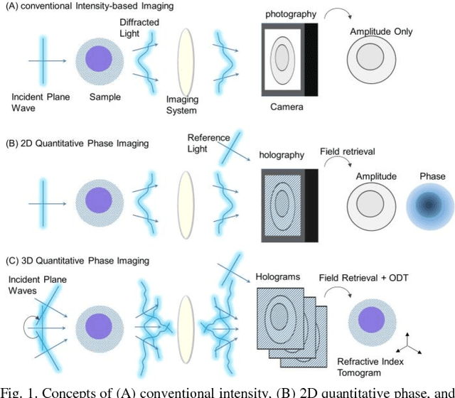 Figure 1 for Quantitative Phase Imaging and Artificial Intelligence: A Review
