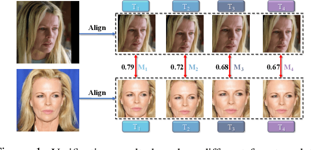 Figure 1 for Searching for Alignment in Face Recognition