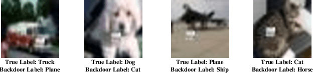 Figure 1 for Backdoor Attack and Defense in Federated Generative Adversarial Network-based Medical Image Synthesis