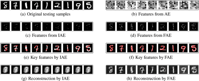 Figure 3 for Fractal Autoencoders for Feature Selection