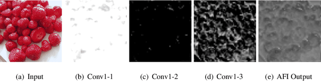 Figure 3 for AFINet: Attentive Feature Integration Networks for Image Classification
