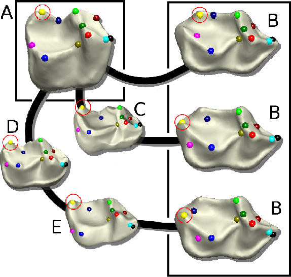 Figure 2 for Hypoelliptic Diffusion Maps I: Tangent Bundles