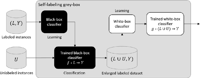 Figure 1 for An interpretable semi-supervised classifier using two different strategies for amended self-labeling