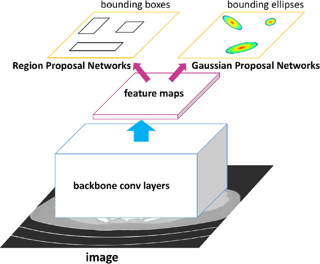 Figure 1 for Detecting Lesion Bounding Ellipses With Gaussian Proposal Networks