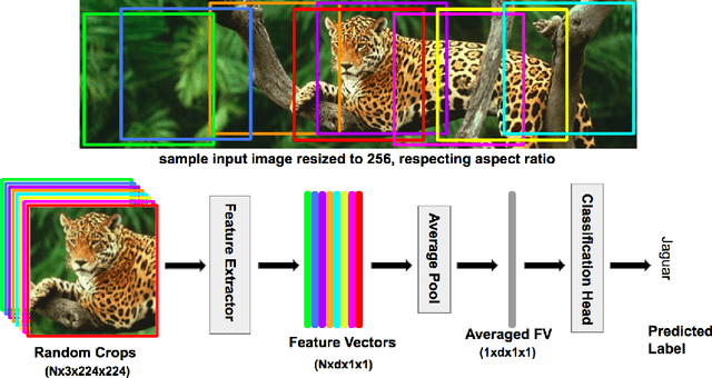 Figure 2 for Enhanced Performance of Pre-Trained Networks by Matched Augmentation Distributions