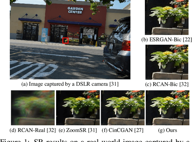 Figure 1 for Learning to Zoom-in via Learning to Zoom-out: Real-world Super-resolution by Generating and Adapting Degradation