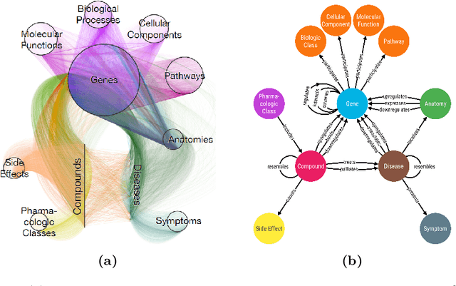 Figure 1 for Neural Multi-Hop Reasoning With Logical Rules on Biomedical Knowledge Graphs