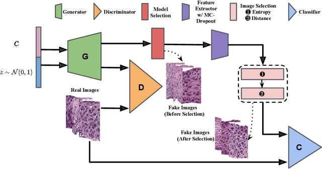 Figure 1 for Selective Synthetic Augmentation with Quality Assurance