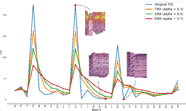 Figure 3 for Selective Synthetic Augmentation with Quality Assurance
