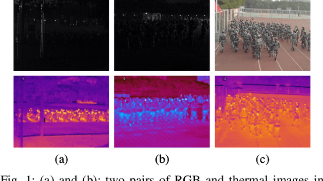 Figure 1 for MAFNet: A Multi-Attention Fusion Network for RGB-T Crowd Counting