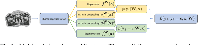 Figure 1 for Uncertainty in multitask learning: joint representations for probabilistic MR-only radiotherapy planning