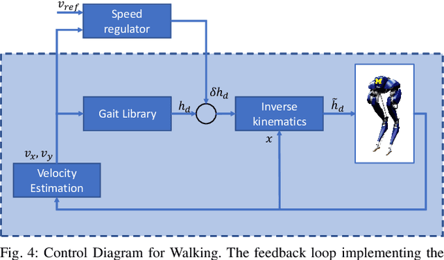 Figure 4 for Feedback Control of a Cassie Bipedal Robot: Walking, Standing, and Riding a Segway
