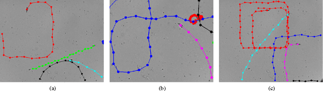 Figure 4 for Tracking Tetrahymena Pyriformis Cells using Decision Trees