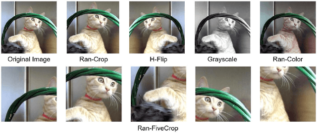 Figure 1 for Towards Adversarial Training with Moderate Performance Improvement for Neural Network Classification