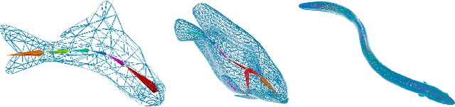 Figure 2 for FishGym: A High-Performance Physics-based Simulation Framework for Underwater Robot Learning