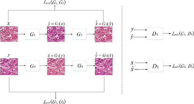 Figure 1 for Stain Style Transfer using Transitive Adversarial Networks